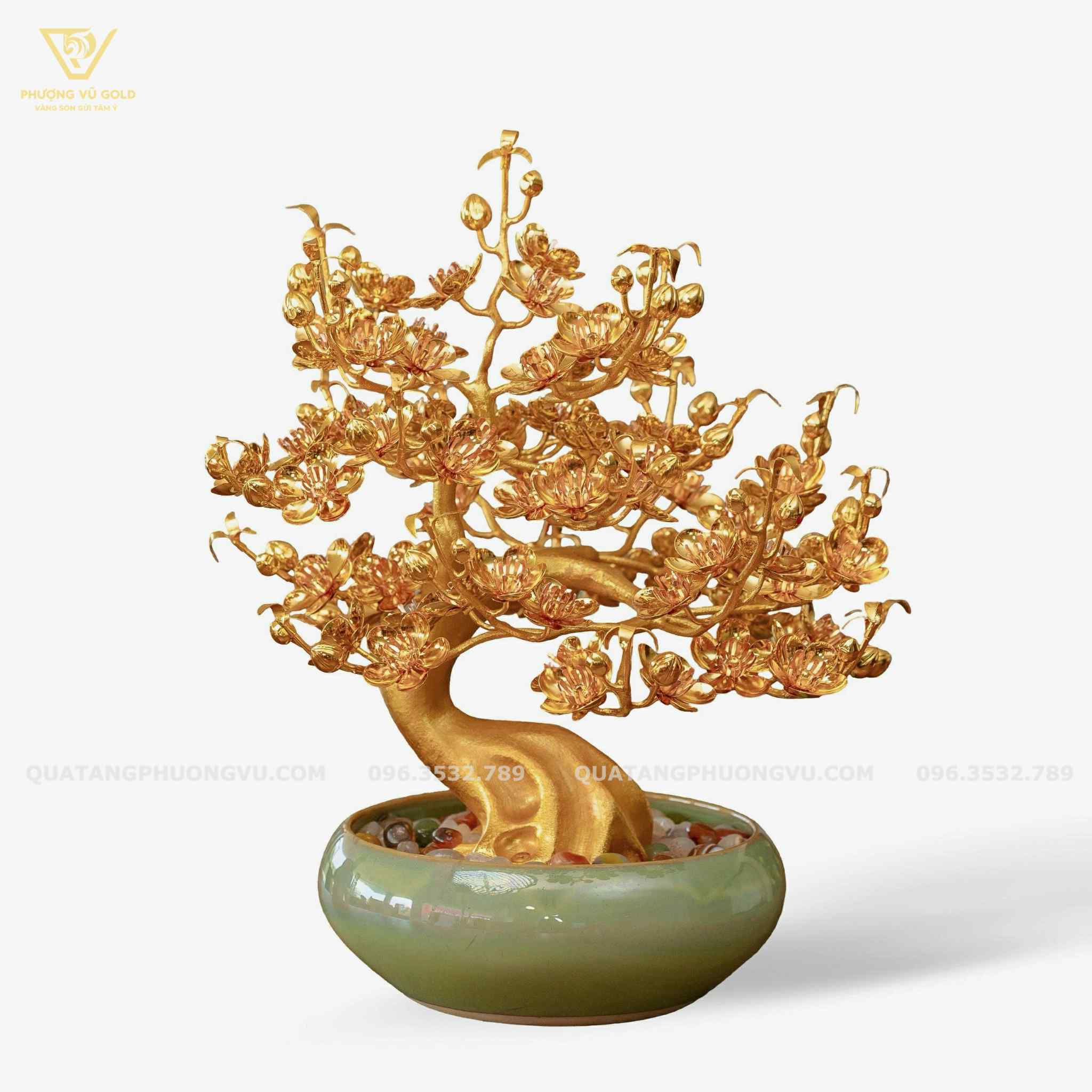 Mai Vàng Phú Quý Mạ Vàng 24K – Quà Tặng Sang Trọng Cho Doanh Nhân | Phượng Vũ Gold